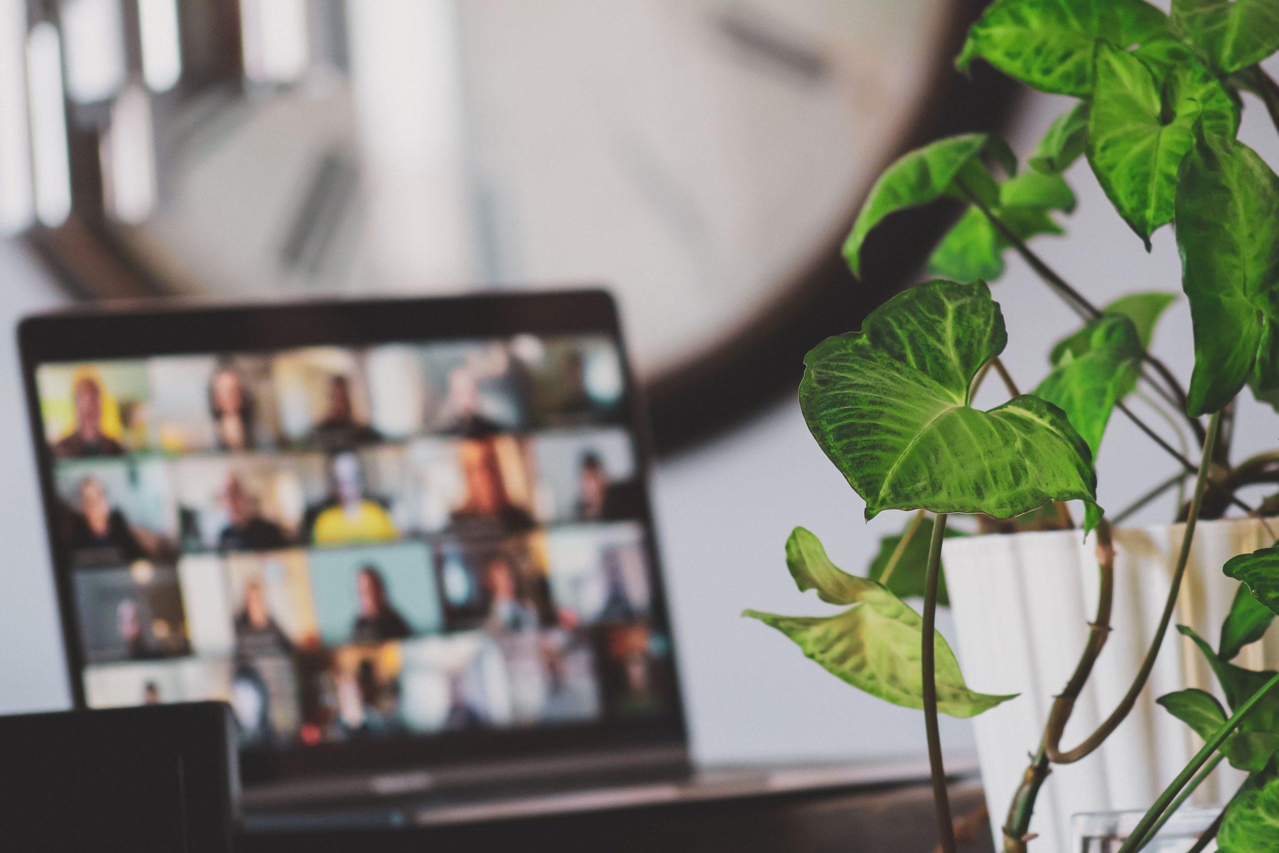 spotkania-online-kurs-nauczycielski